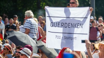 Kolumne vom Freischwimmer: Meine Gedanken zur Demo am 1.8.2020 in Berlin