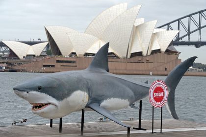 Australier verprügelt Hai – der hatte sich im Bein seiner Frau verbissen