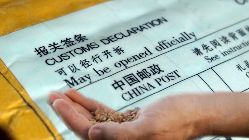 Mysteriöse Samen aus China: Online-Betrug oder Bio-Terrorismus?