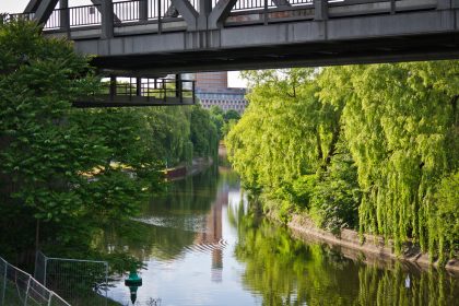 Berlin: Haftbefehl nach Fund von toter 15-Jähriger auf Brachgelände erlassen