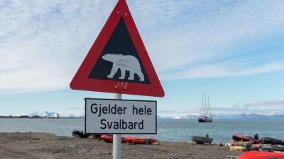 Eisbär tötet Mann auf Spitzbergen