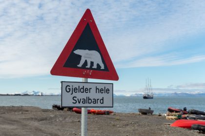 Eisbär tötet Mann auf Spitzbergen