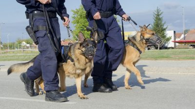 Köln, Olpe, Ansbach, Nürnberg: Polizei ermittelt nach Bombendrohungen gegen Gesundheitsämter