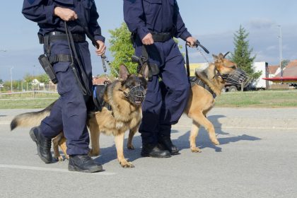 Köln, Olpe, Ansbach, Nürnberg: Polizei ermittelt nach Bombendrohungen gegen Gesundheitsämter