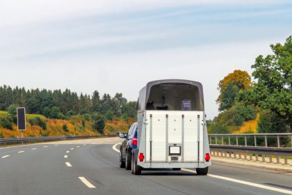 24-Jährige verliert auf Autobahn Pferd aus Anhänger – Tier stirbt
