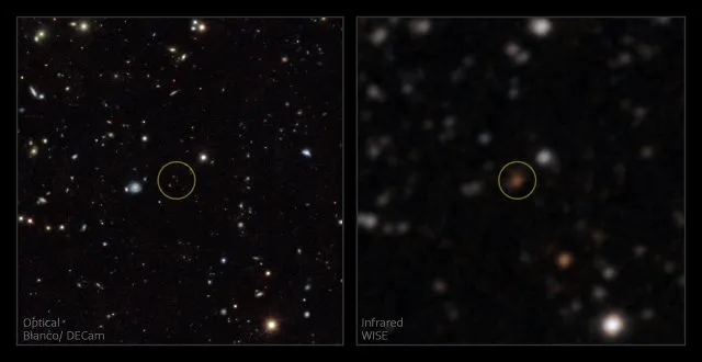 Astronomen und 100.000 Freiwillige entdecken etwa 100 kühle Braune Zwerge.