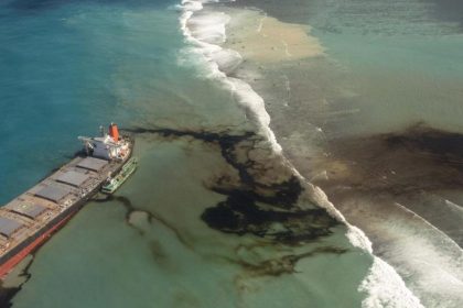 Zehntausende fordern nach Ölkatastrophe vor Mauritius Rücktritt der Regierung