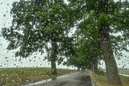 Regen – Von Max Dauthendey