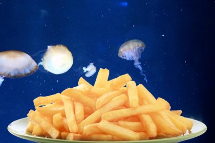 Qualle mit Pommes?