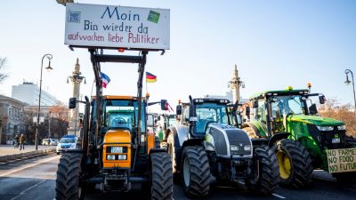 Landwirte kritisieren 50-Millionen-Euro-Hilfsangebot von Supermarktketten als „Trostpflaster“