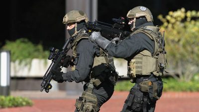 GSG-9-Chef: „Keinerlei Toleranz“ für Rechtsextremismus in Elite-Einheit der Bundespolizei