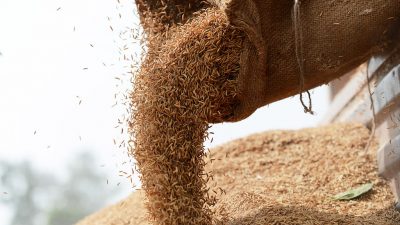 Bande stiehlt mehr als zehntausend Tonnen Getreide bei niedersächsischer Firma