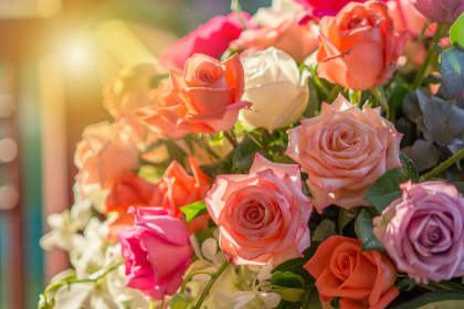 Ich liebe dich so wie du mich – Von Karl Friedrich Wilhelm Herrosee