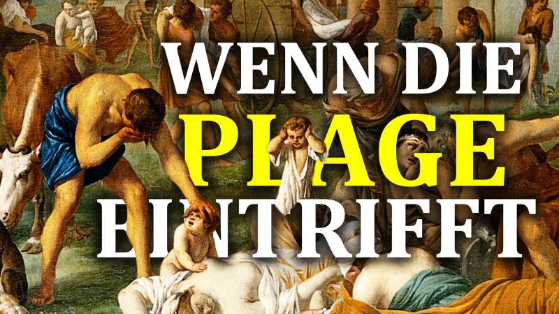 „Wenn die Plage eintrifft“ – eine historische Betrachtung