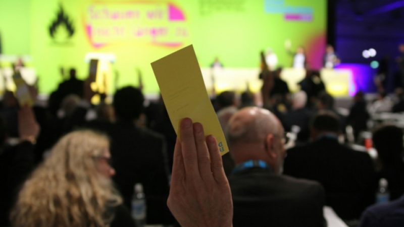 FDP für „Wahlalter 16“ – Altmaier auf Twitter: „Ihr seid die besten Wahlhelfer der Grünen“