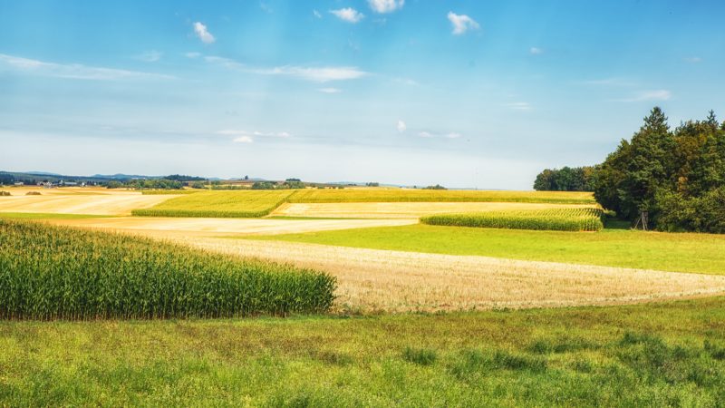Ackerflächen zu Wohngebiet: Stadt Wiesbaden will verkaufsunwilligen Bauern auf die Sprünge helfen