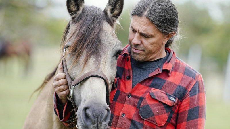 Tierhalter besorgt wegen verletzter Pferde – 2000 Euro Belohnung für Täter-Hinweise ausgesetzt