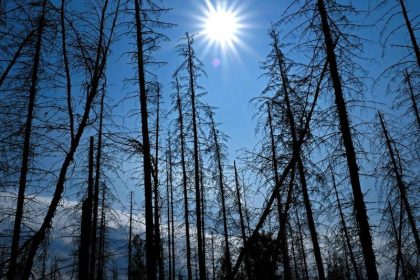 IPCC-Klima-Modell nicht aktuell: Worst-Case-Emissionen steigen langsamer als prognostiziert