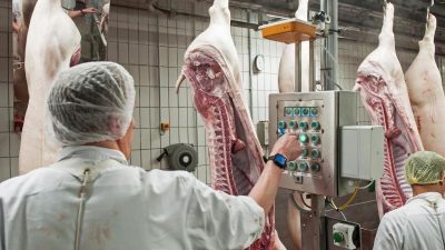 Razzien in der Fleischindustrie: 800 Beamte im Einsatz wegen illegaler Leiharbeit