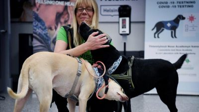 Lauterbach: Hunde sollen Corona-Infizierte an Flughäfen aufspüren