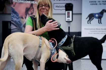 Lauterbach: Hunde sollen Corona-Infizierte an Flughäfen aufspüren