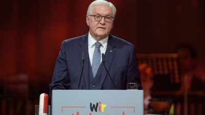 „Groß nur in der Enttäuschung“: Steinmeier hielt „missglückte Rede“ zum 30. Jahrestag der Einheit