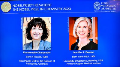 Chemie-Nobelpreis geht an Forscherinnen aus Frankreich und den USA