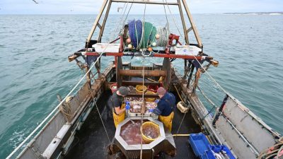 Im Fischereistreit droht nun Großbritannien Frankreich mit Vergeltung