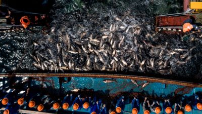 US-Küstenwache soll gegen chinesische Fischerei im Westpazifik vorgehen
