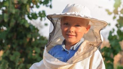 Fliegengaze als Gesichtsmaske? Gericht hält Ausschluss der Schüler vom Unterricht für rechtswidrig