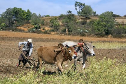 WWF-Planspiel simulierte globale Ernährungskrise 2020 bis 2030 – mit Kohlenstoffsteuer und Fleischsteuer in der EU