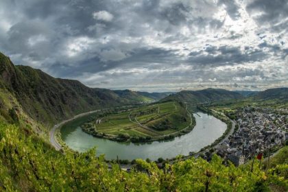 Weinbauverband befürchtet nach Frostnächten Ernteausfall