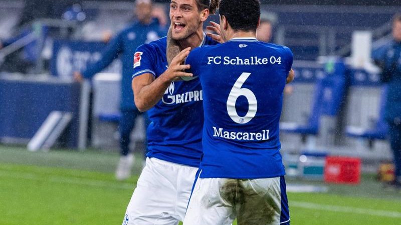 Paciencia rettet Schalke beim Baum-Heimdebüt einen Punkt