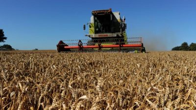 FDP: EU-Agrarpolitik soll Ernährungssicherheit fokussieren