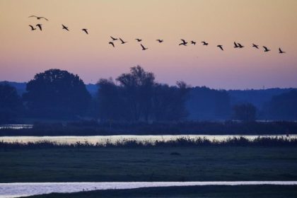Der Vögel Abschied – Von Joseph Freiherr von Eichendorff
