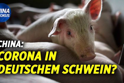 NTD: Deutschland weist Chinas Virusvorwurf zurück | KPC-Richtlinien schränken E-Commerce-Giganten ein