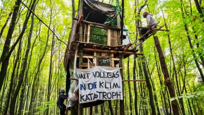 Ermittlungen gegen Polizisten nach Sturz von Demonstrantin im Dannenröder Forst