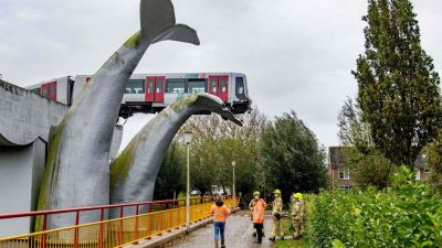 Kunst rettet Leben: U-Bahn bei Rotterdam landet auf Wal