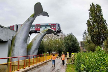 Kunst rettet Leben: U-Bahn bei Rotterdam landet auf Wal