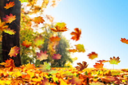 Herbst im Fluss – Von Joachim Ringelnatz