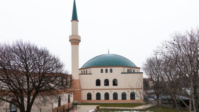 Wiener Verfassungsschutzchef nach islamistischem Anschlag suspendiert