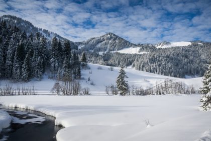 Erster Schnee: Weiße Pracht am Spitzingsee in Bayern