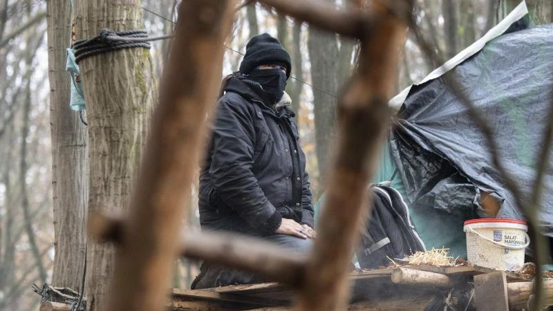 Tötungsversuch im Dannenröder Forst? – Polizisten mussten sich vor herabstürzenden Baumstämmen retten