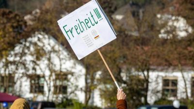 AfD bezeichnet Corona-Beschlussvorlage als „gefährlich“ – Merkel und Minister regieren „quasidiktatorisch“