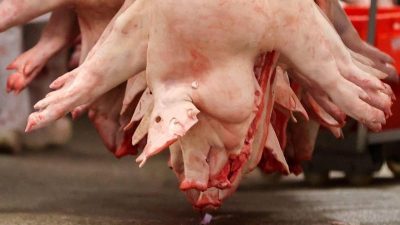 Koalition einigt sich im Streit um Arbeitsbedingungen in Fleischindustrie