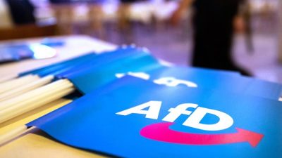 Frühere niedersächsische AfD-Chefin Guth aus Partei ausgetreten