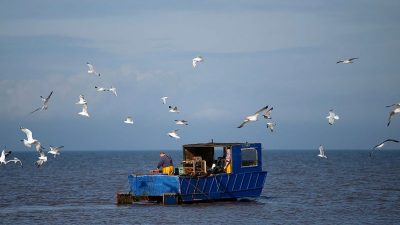 Streit um Fischfangrechte: Paris droht in Brexit-Handelsabkommen-Verhandlungen mit Veto