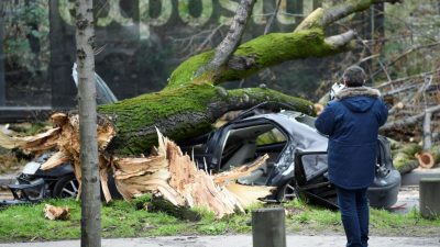 Fotografieren von toten Unfallopfern ab Januar strafbar