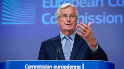 EU-Mitgliedstaaten prüfen 1300 Seiten für Brexit-Handelsdeal