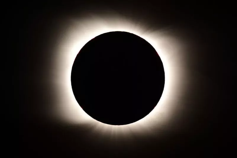 top-article-image